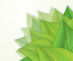 Green Leaves Vector Graphic