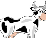 illustration of cow