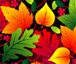 Vector Leaf Background