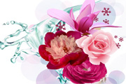 Vector Flower Art