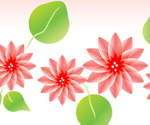 Lotus flower