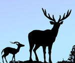 NATURE SCENE VECTOR WITH DEER