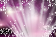night shinning spring vector design