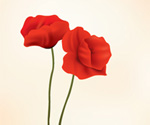 Red Flowers Vector Graphic