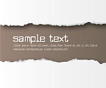 Ripped Paper Vector Graphic
