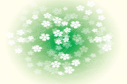 Round Green Flower Vector Graphic