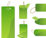 Green Leaf Labels Vector