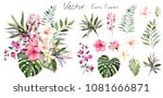 tropical vector flowers. card...